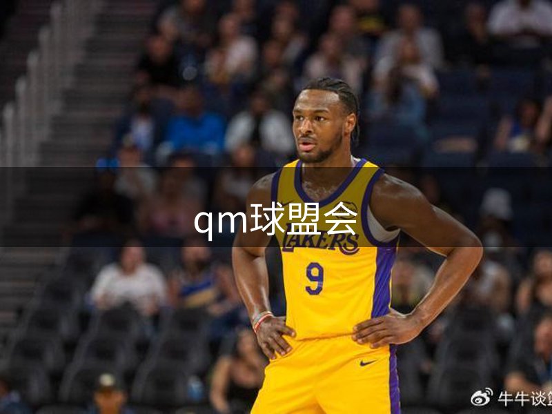 品牌蓝图